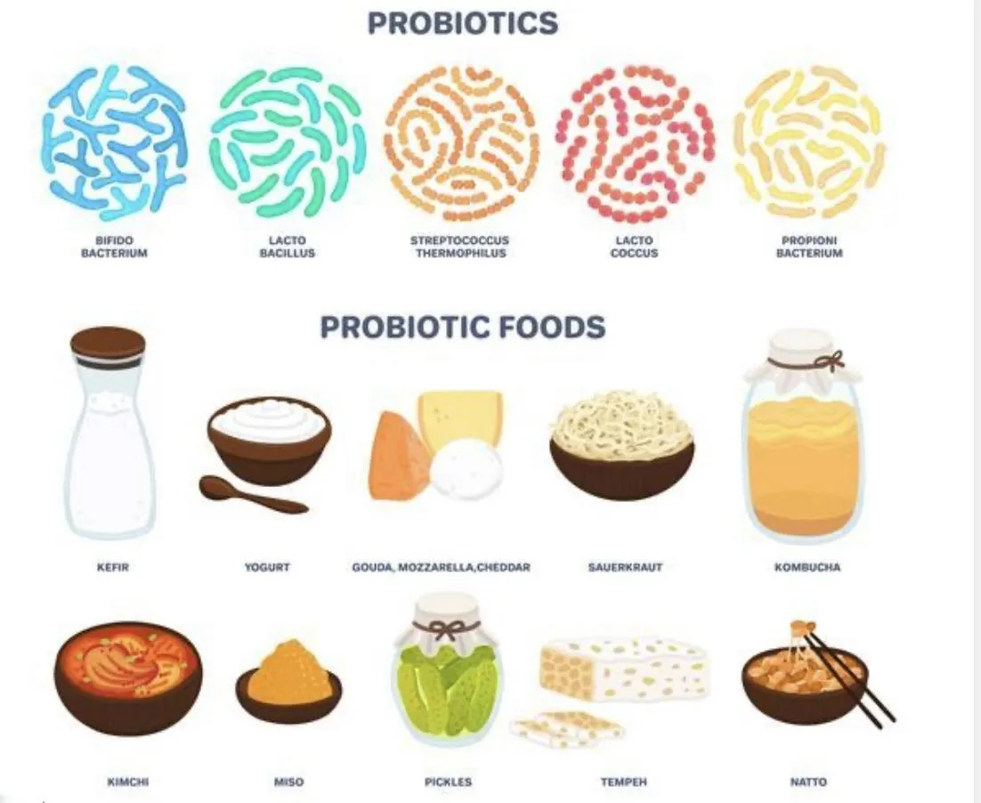 The Probiotic Advice We've Always Heard Is Wrong