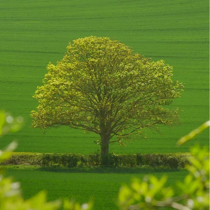 Attendee Elena R. smiling in a modern workspace with a city view