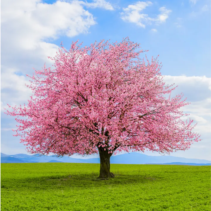 Attendee Michael T. smiling in a modern workspace with plants
