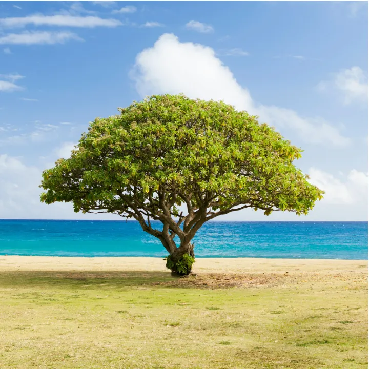 Attendee Priya S. smiling in a modern workspace with bookshelves
