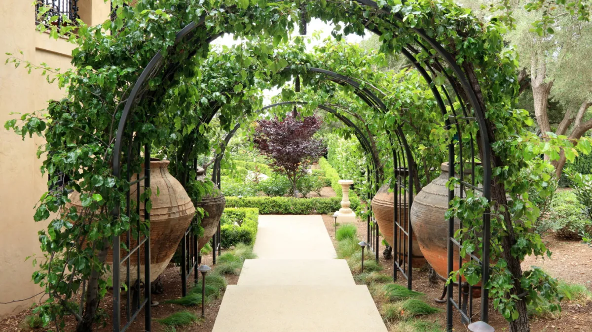 Hardscape Denver build arbor and trellises