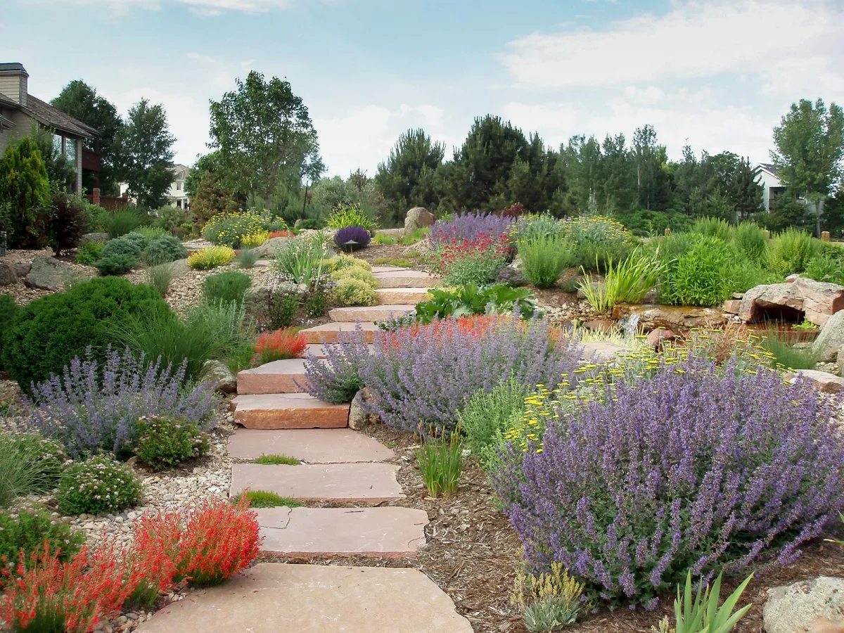 Hardscape denver working landscaped 