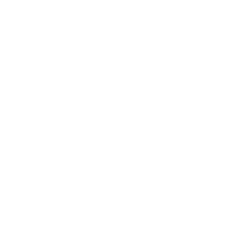 Blauer Tactical Systems Logo