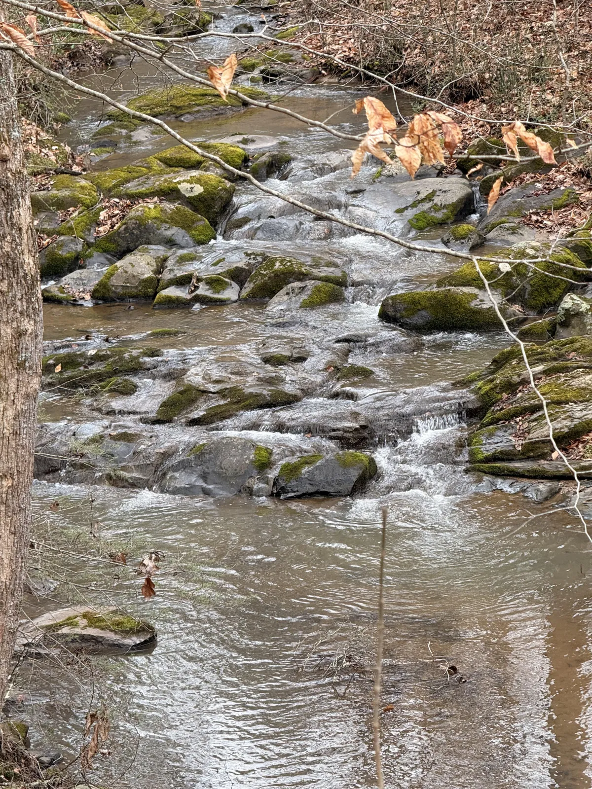 water over rocks