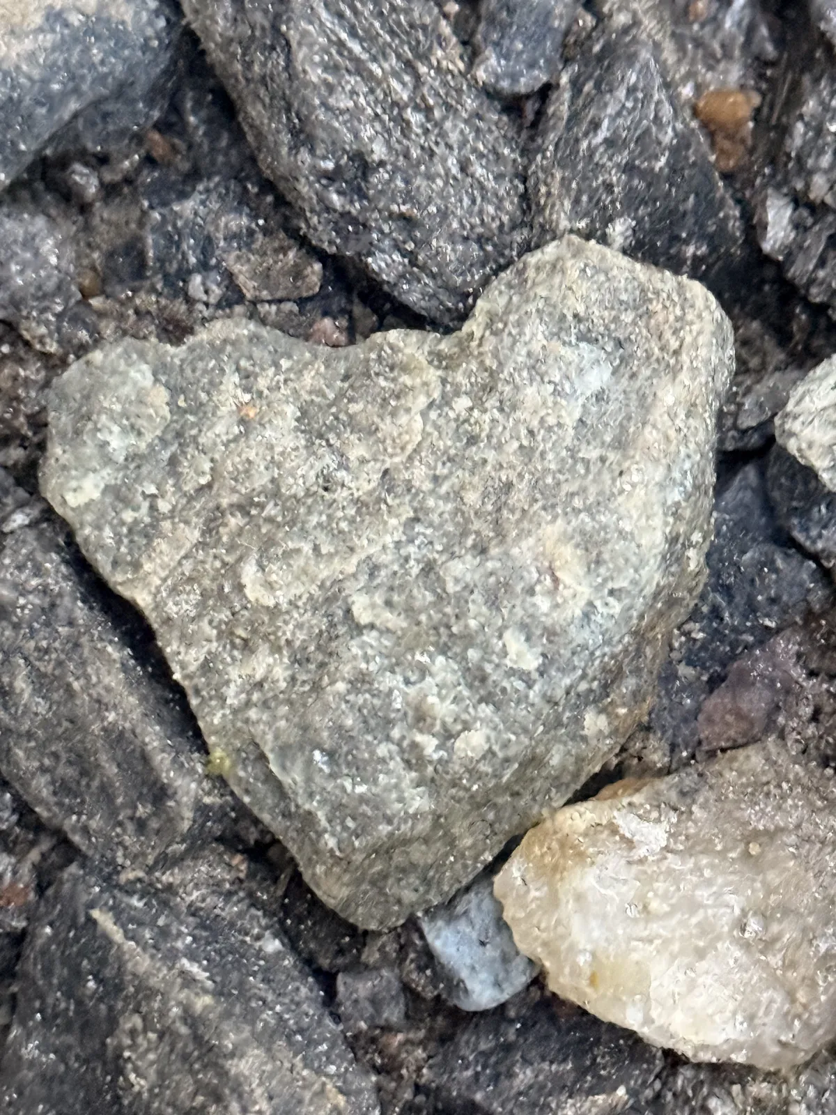 heart shaped rock on the path