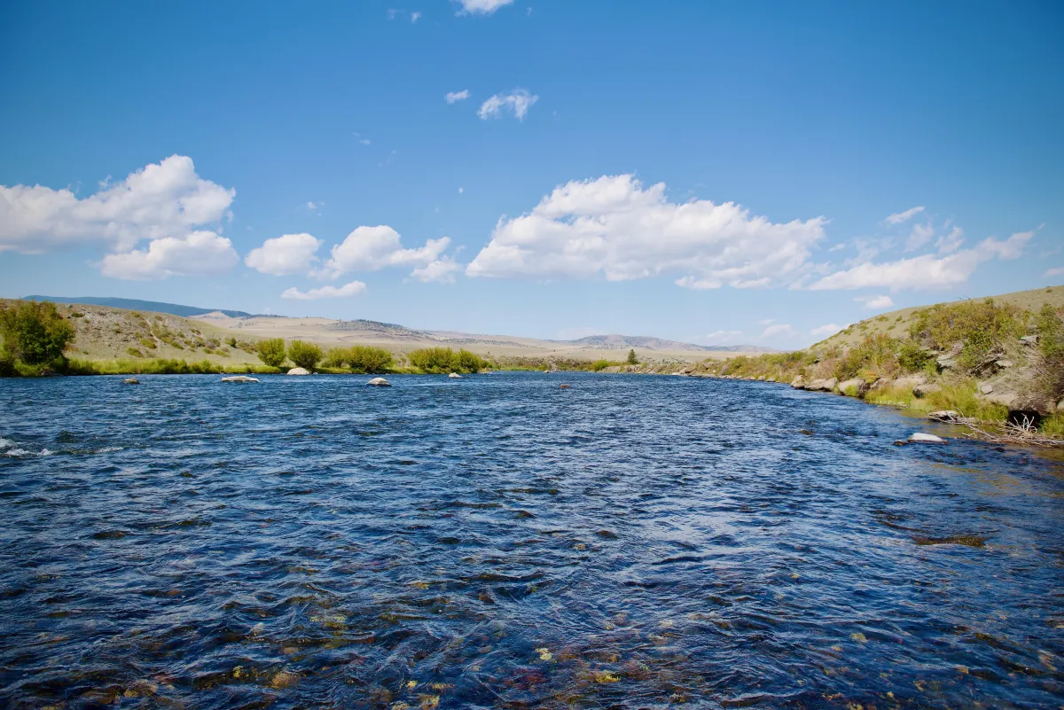 Scenic view of the Missouri River flowing through Montana with forested hills and clear skies, capturing the beauty of a prime fly fishing destination.