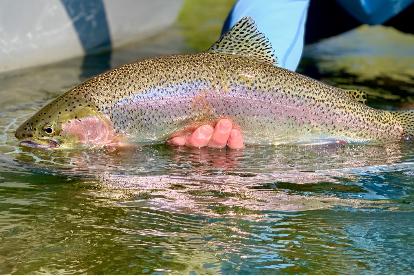 Beginner's Guide - Top mistakes to avoid