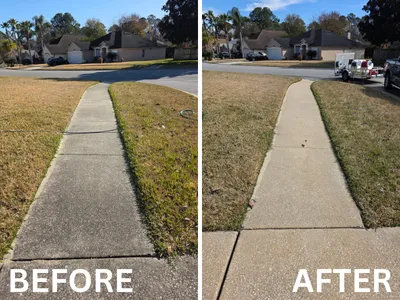 Fence Cleaning Jacksonville