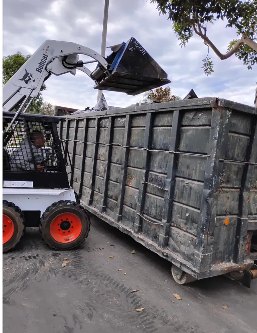 General Cleanup & Trash Pickup