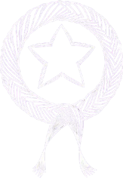 A circular badge made of a coiled hair strand, drawn in a uniform white line, with two ribbon “tails” of hair streaming downward. Inside the circle sits a five-pointed star also formed from hair-like curves. All ends are gently rounded; the consistent outline conveys premium quality and a championship feel.