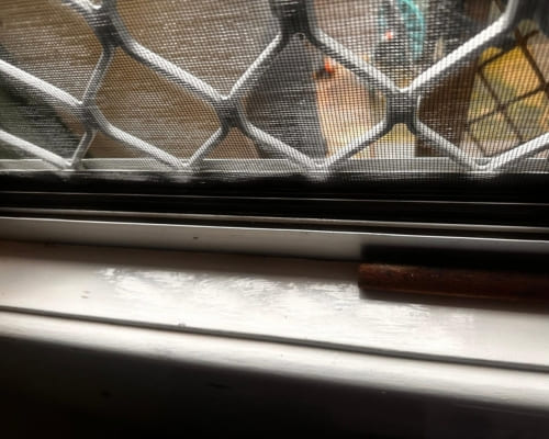 Window tracks detailed for an end of lease clean in Adelaide