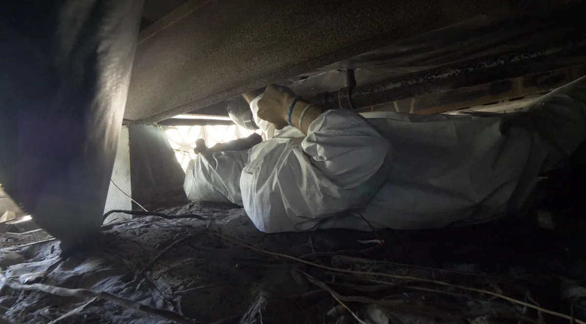 vapor barrier installation Tavares