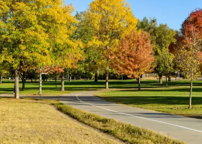 carpal tunnel relief Cincinnati, OH