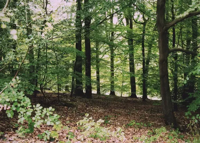 carpal tunnel relief Cincinnati, OH