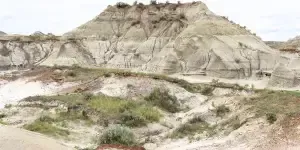 Cincinnati OH chiropractor for neck pain near Tammel Fossil Park
