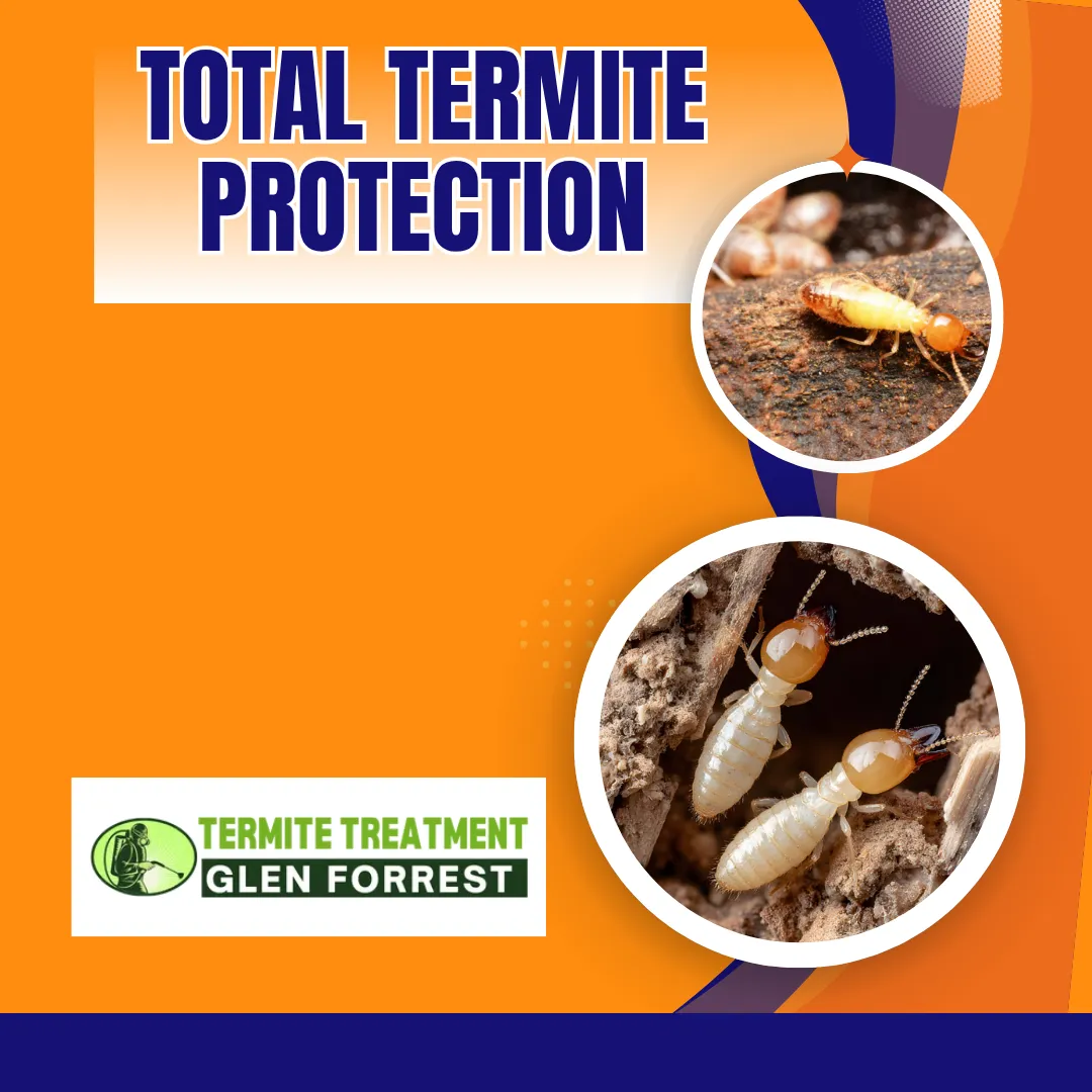 termite control safe living