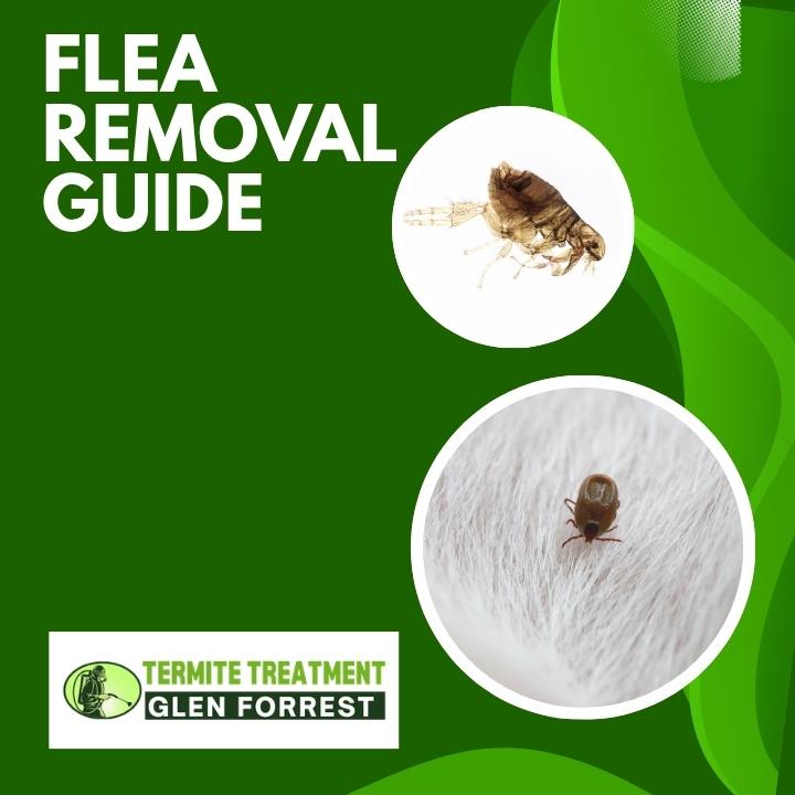 Flea pest removal