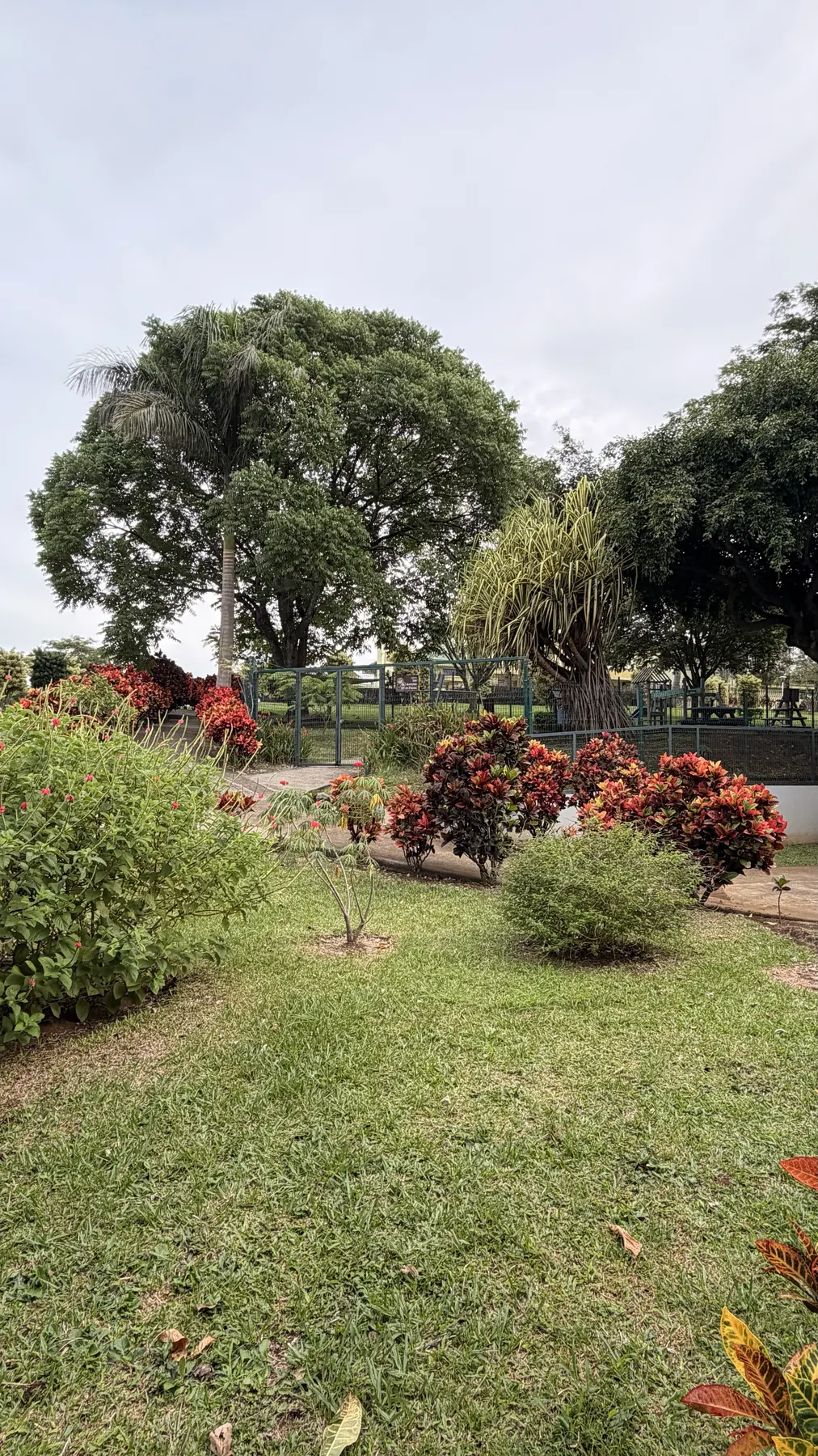 Compromiso Ambiental Saint Francis College