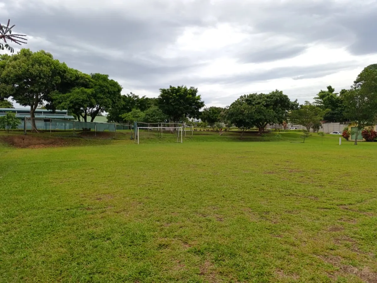 Cancha de fútbol natural