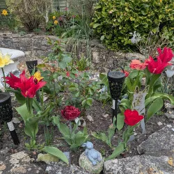 Garden landscaping and fencing project by IA Property Solutions in Bournemouth