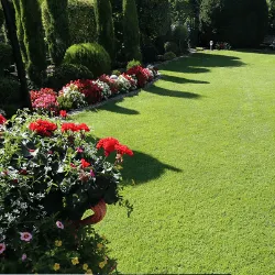 Garden landscaping and fencing project by IA Property Solutions in Bournemouth