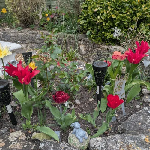 Wooden deck installation beside shed in Bournemouth Dorset