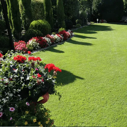 Beautiful landscaped garden with lawn and flower beds in Bournemouth Dorset