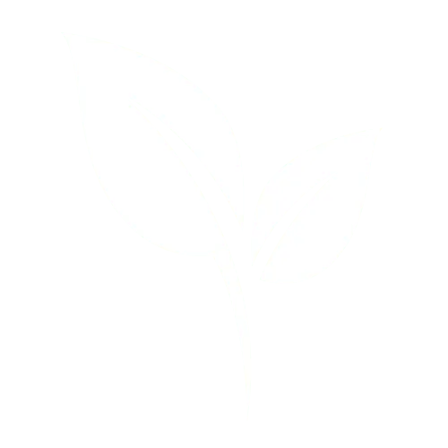 local specialists carpentry and landscaping team Bournemouth