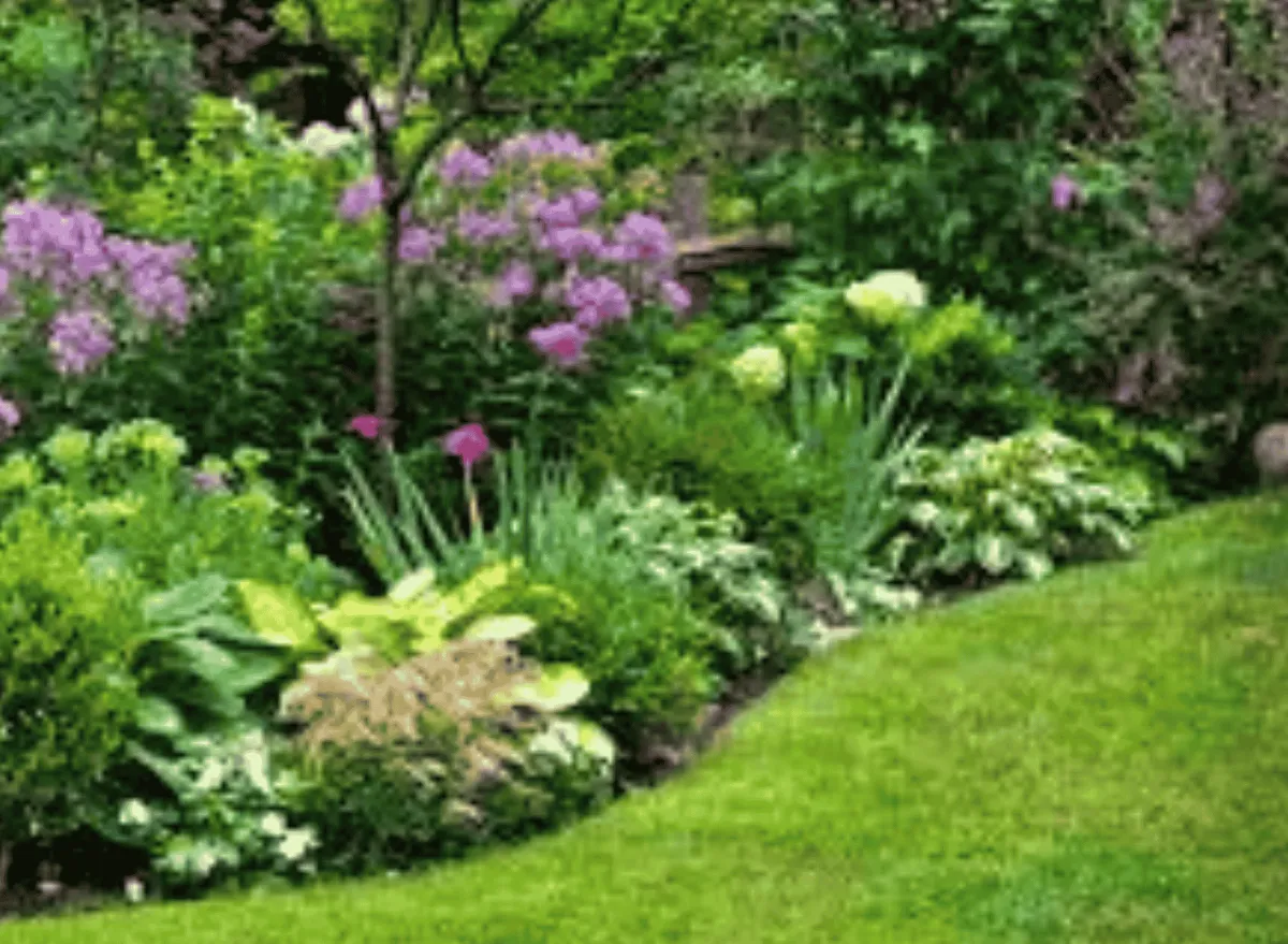 garden landscaping and patio paving in Bournemouth garden