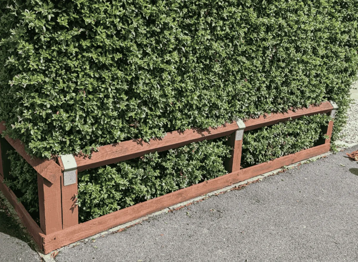 garden landscaping and patio paving in Bournemouth garden