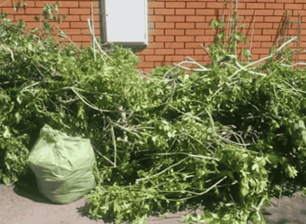 garden landscaping and patio paving in Bournemouth garden