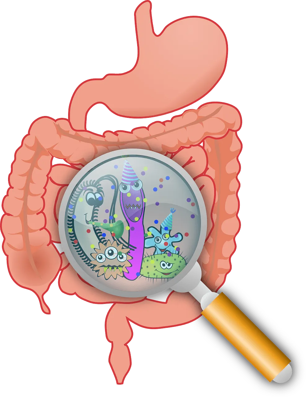 Synogut