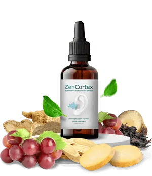 zenCortex