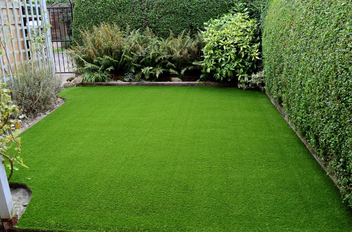 lush  green grass