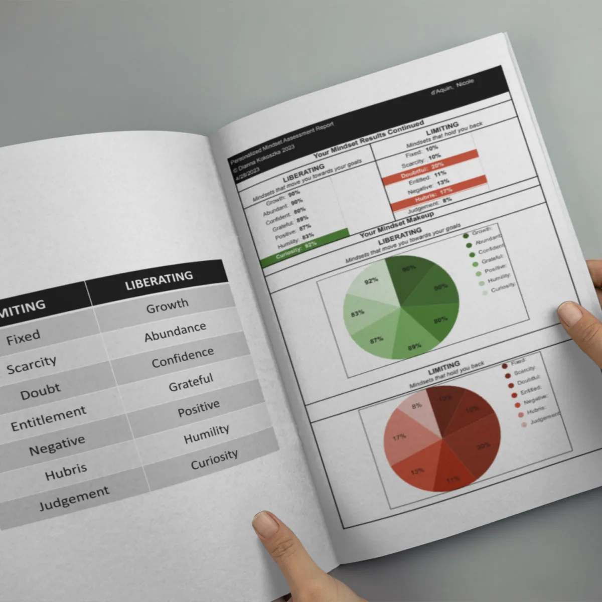 Becoming More Book Mindset Assessment