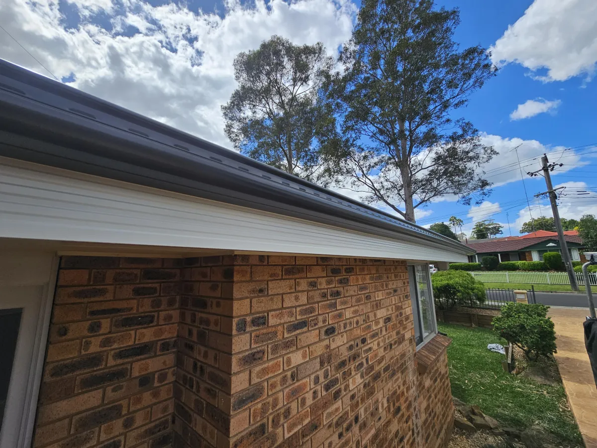 quad gutter and fascia cover