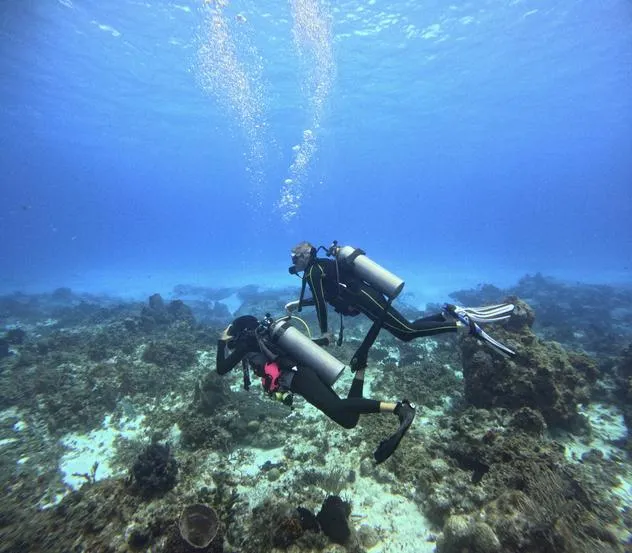 “adventure tourism marketing for tour companies”