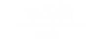 the website success hub