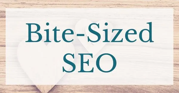 Bite-Sized SEO VIP Intensive