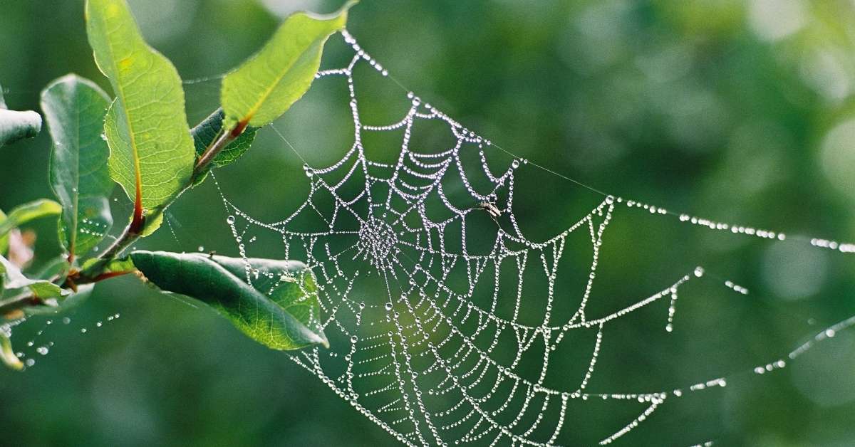 How Networking Helped Me Grow My Business Without Social Media