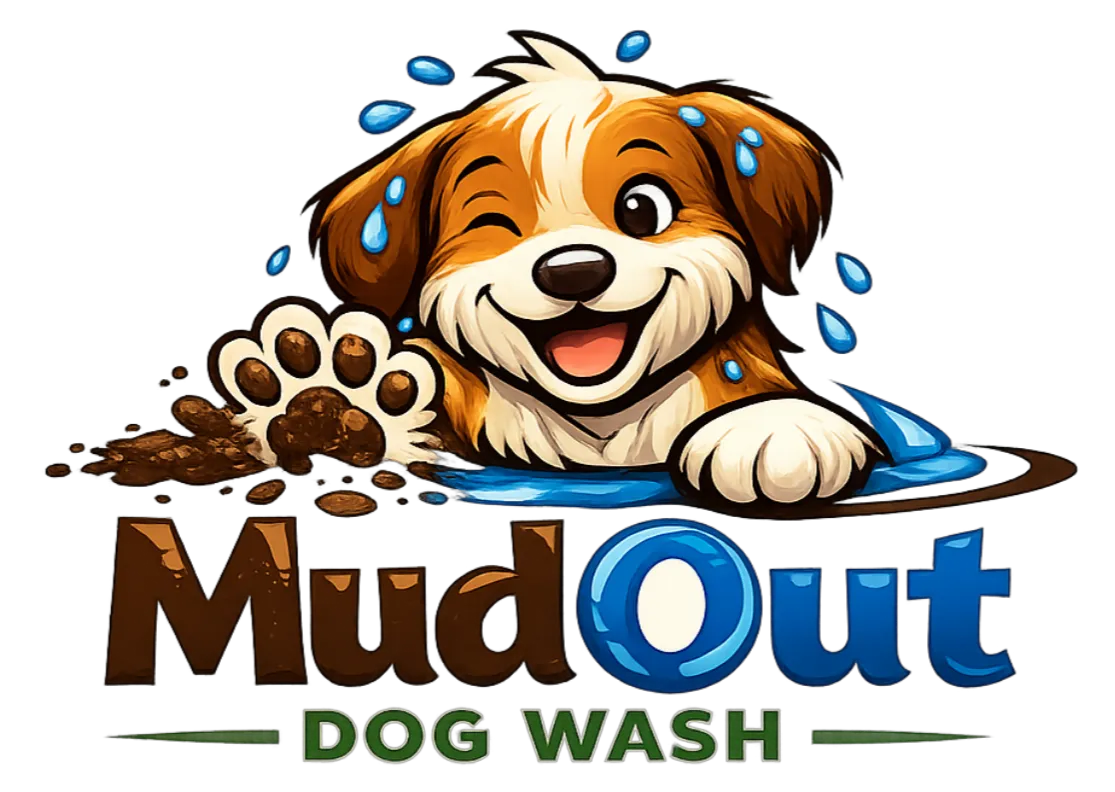 MudOut dog wash station london
