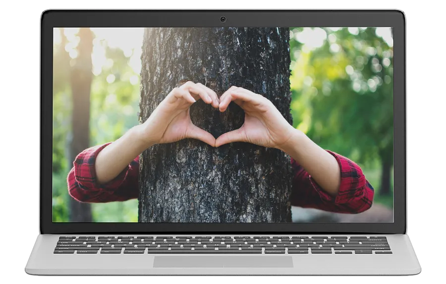 tree care business lead generation