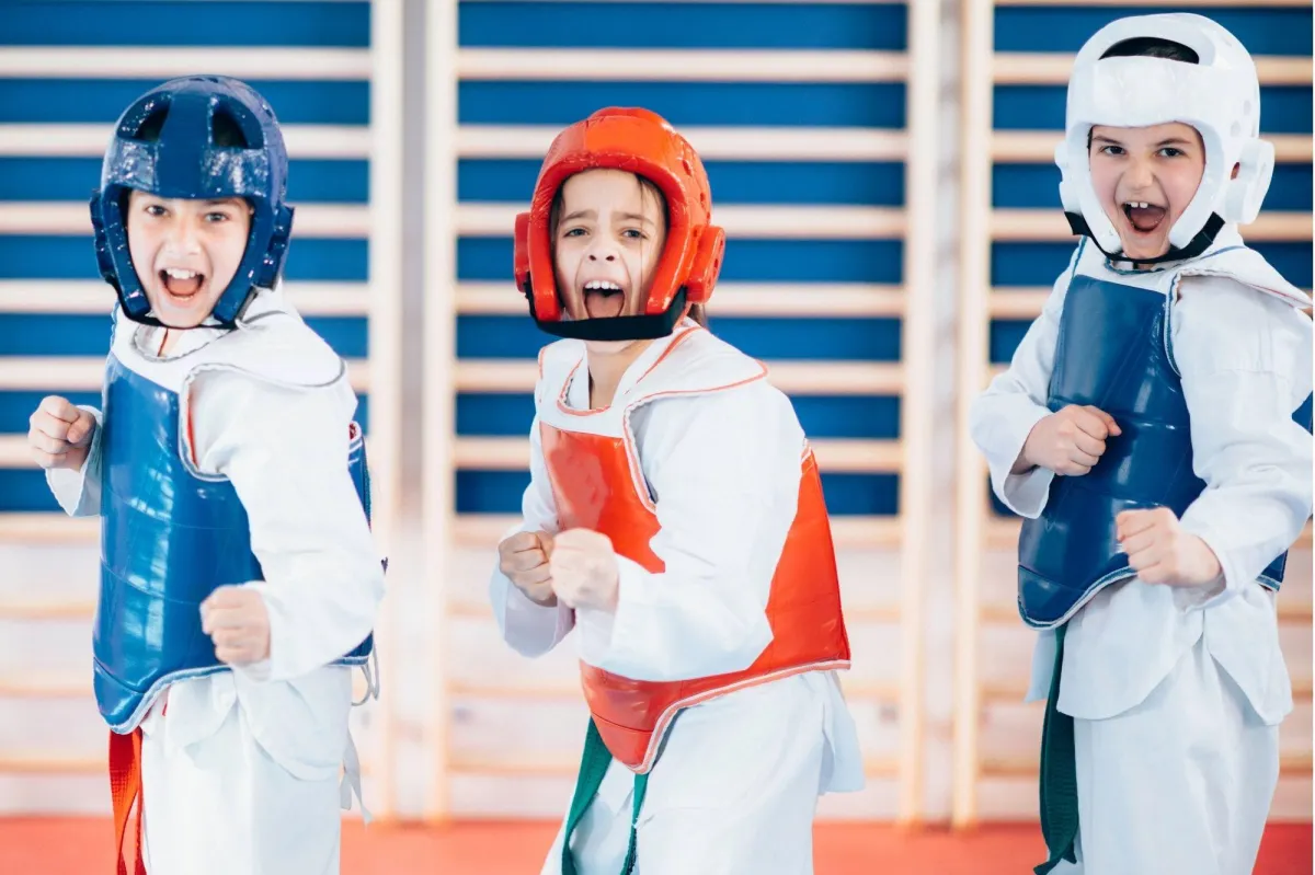 Get the Best Taekwondo Training in Oswego. Best Taekwondo School in Oswego