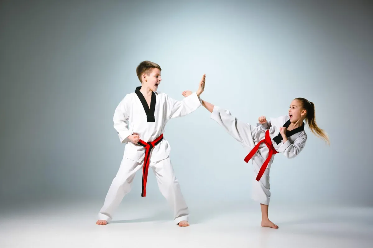 Get the Best Taekwondo Training in Oswego. Best Taekwondo School in Oswego