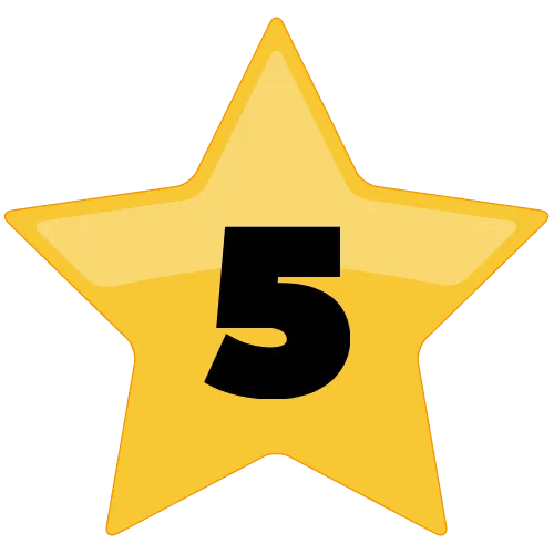 review-star5