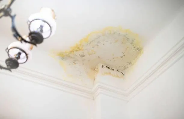Water Stain Damage - Roofing Service Emergency Example