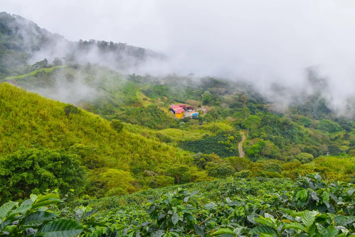 Vista Mundo Bird Eye View