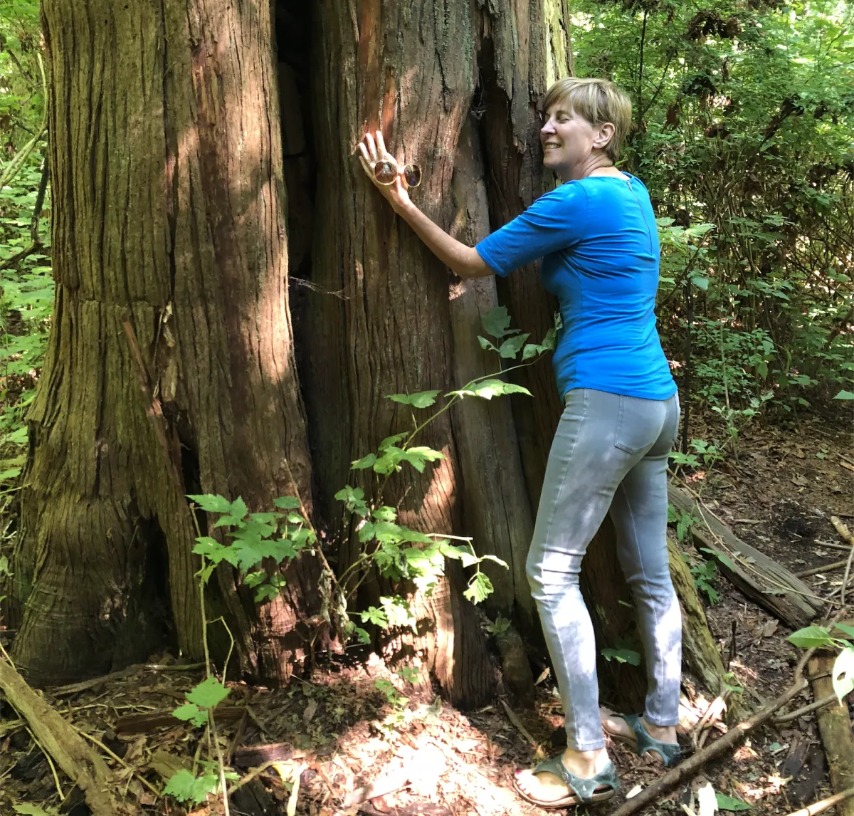 Tranquility and Nature