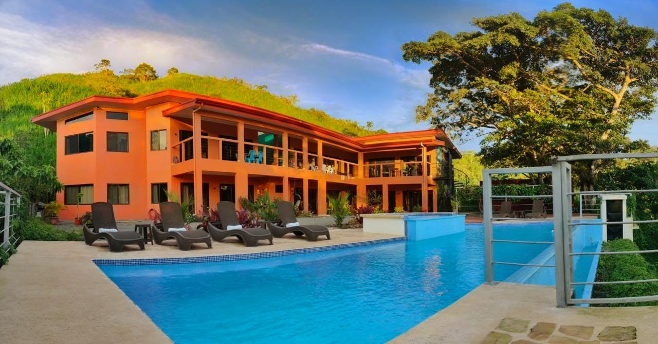 low-angle photo of green fern plant