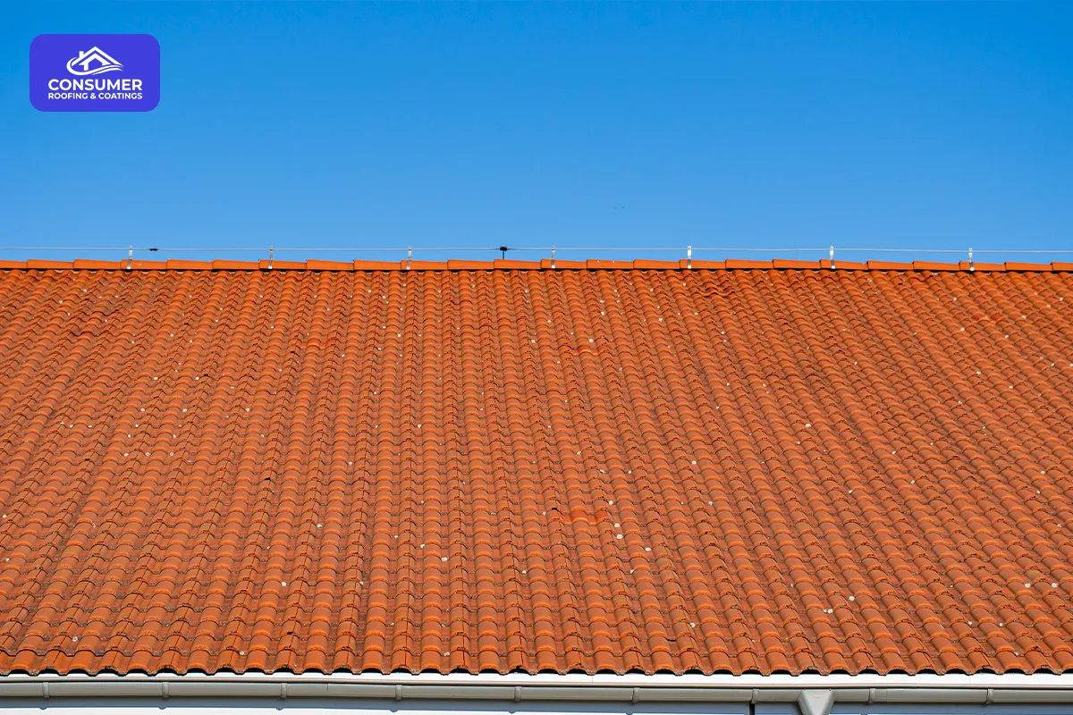 Is Roof Rejuvenation Worth It in Ontario? A Homeowner's Guide